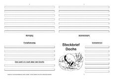 Dachs-Faltbuch-vierseitig-1.pdf